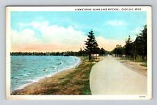 Cadillac MI-Michigan, Scenic Drive Along Lake Mitchell Vintage Souvenir Postcard picture