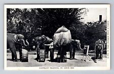 St Louis MO-Missouri, Elephant Training St Louis Zoo, c1946 Vintage Postcard picture