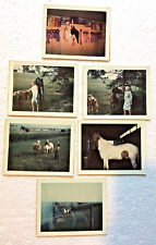 Vintage Polaroid Land Photo Lot Of 6 Early 1970's Horses With Awards Ribbons picture