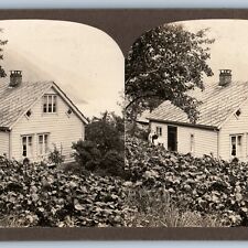 c1900s Norway Small Mountain House Cute Family Sharp Real Photo Stereo Card V19 picture