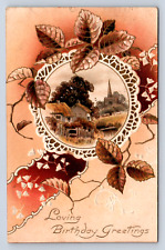 Vintage Postcard Birthday Greetings Fall 1908 picture