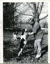 1979 Press Photo Spaniel dogs Timmy and Aggie picture
