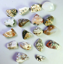 18pcs Natural Ocean Jasper Quartz Crystal Agate Round Pendant Jasper Reiki Stone picture