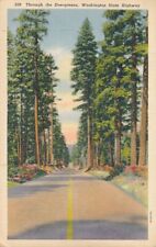 State Highway through the Evergreens WA, Washington - pm 1941 - Linen picture