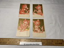 1880's Lot 4 Anthropomorphic Cat Kitten Victorian Trade Cards Boxing Knitting mo picture