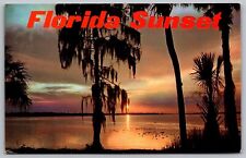Florida Sunset Palm Trees Oceanfront Shoreline Beach Waterfront Vintage Postcard picture