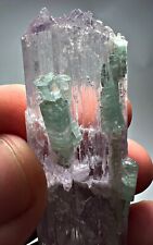134 CT Full Terminated Etched Kunzite Crystal w/ Blue Tourmaline Crystals @ AFG picture