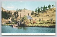 Mountain Ranch On Wallowa River. Northeastern Oregon Postcard 3398 picture