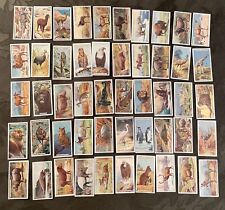 Complete Set of (50) 1924 Players Cigarette Natural History Tobacco Cards picture