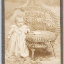c1900s Emmetsburg, IA Cute Baby Stand Toy Cabinet Card Photo Fur Rug Sunbeam B24 picture