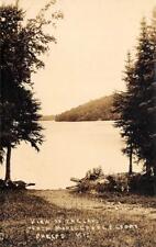 RPPC Lake from Maple Grove Resort PHELPS, WI Wisconsin c1920s Vintage Postcard picture
