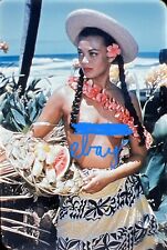 VTG 1950s/60s Color Slide Risqué Hawaiian Topless Beauty Long Braids Fruitbasket picture