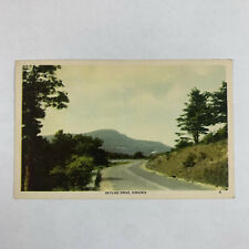 Postcard Virginia Skyline Drive VA Skyland 1949 Posted Linen picture