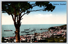 c1910s Madeira Funchal Portugal Harbor Boats Ships Vintage Postcard picture