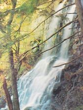 C 1972 Lewis Falls Near Big Meadows Shenandoah National Park VA Chrome Postcard picture