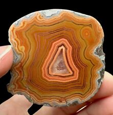 Banded Dryhead Agate : Bighorn River Area. Pryor Mtn.Carbon County, Montana 🇺🇸 picture