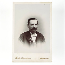 Sheridan Oregon Man Cabinet Card c1885 Big Mustache Corsage Bowtie Photo C3336 picture