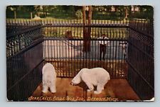 Bear caves Belle Isle Zoo Detroit Michigan Postcard picture