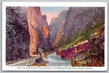 D RGW Train Hanging Bridge Royal Gorge Colorado Mountains Railroad VNG Postcard picture