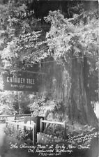 California Chimney Tree Redwood Highway Art Ray RPPC Photo Postcard 22-6672 picture