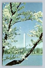 Washington Monument White Marble Shaft Cherry Trees Kodachrome Postcard White picture