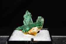 Malachite ps. Azurite / Thumbnail Mineral Specimen / From Kerrouchene, Morocco picture