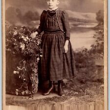 c1880s Cute Little Girl Standing Dress Cabinet Card Photo Vine Hay Landscape B18 picture