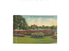 Vintage Postcard  Flower Gardens Loring Park Minneapolis MINN     Linen picture