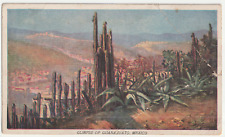 c1920s Historic Guanajuato Mexico~Desert~Plateau~Cacti Vintage~Postcard picture