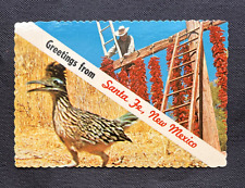 Vintage Postcard Greetings Banner From Santa Fe New Mexico Chile Roadrunner   A4 picture