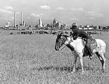 1945 Cowboy & Horse Dallas Texas Skyline Vintage Old Photo 8.5