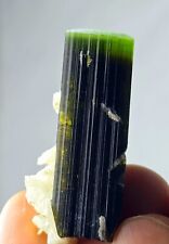 Bi Colour Tourmaline Crystals Specimen 14-gm Well Terminated@Astak Mine Pakistan picture