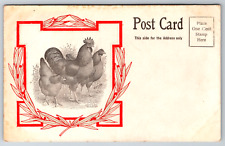 c1910s Chicken Undivided Back Rooster Vintage Postcard picture