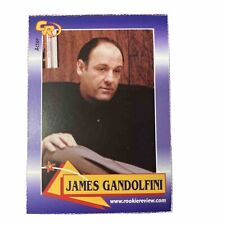 2003 Celebrity Review Rookie Review James Gandolfini SAPRANOS Card #15 picture