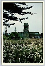 Postcard California Mendocino wildflowers water towers summer fog c1983 5L picture