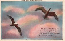 Postcard FL Miami Florida Sea Gulls 1944 Linen Unposted Vintage PC J8978 picture