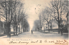 1907 Homes Main St. Bloomsbury NJ post card picture