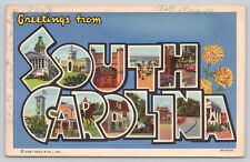 POSTCARD GREETINGS FROM SOUTH CAROLINA LARGE LETTER (376) picture