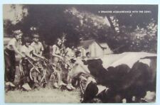 RED HOOK NY WARD MANOR SPEAKING ACQUAINTANCE WITH THE COWS VINTAGE POSTCARD picture