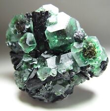 OUTSTANDING AESTHETIC GEM FLUORITE ON BLACK TOURMALINE NAMIBIA 6.3 CM picture