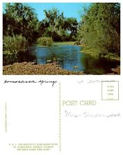 Beautiful Homosassa River, Homosassa Springs, Florida Vintage Chrome PC picture