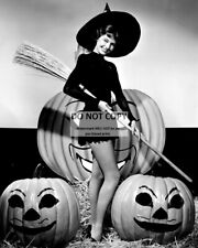 ACTRESS CYD CHARISSE PIN-UP - 8X10 HALLOWEEN THEMED PUBLICITY PHOTO (ZY-361) picture