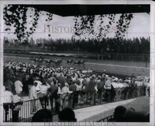 1951 Press Photo Greate Miamis Three Horse Racing Track picture