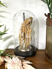 Antique Vintage Genuine  Human Feet Foot Skeleton Bones Mounted In A Glass Dome picture