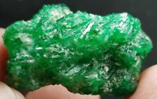  43.70 Ct Rich Green Color Emerald  Damage Free Bunch Crystal @Swat Valley  picture