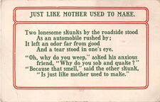 1913 Comic Motto Postcard - Just Like Mother Used To Make - Two Lonesome Skunks picture
