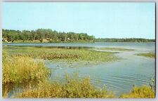 Postcard Lake View Scene picture