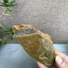 326g Bonsai Suiseki-Natural Gobi Agate Eyes Stone-Rare Stunning Viewing B1139 picture