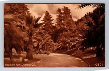 Oakland CA-California, Piedmont Park, Antique, Vintage Souvenir Postcard picture