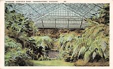Chicago IL Garfield Park Conservatory Ferns Botanical Garden Vtg Postcard E38 picture